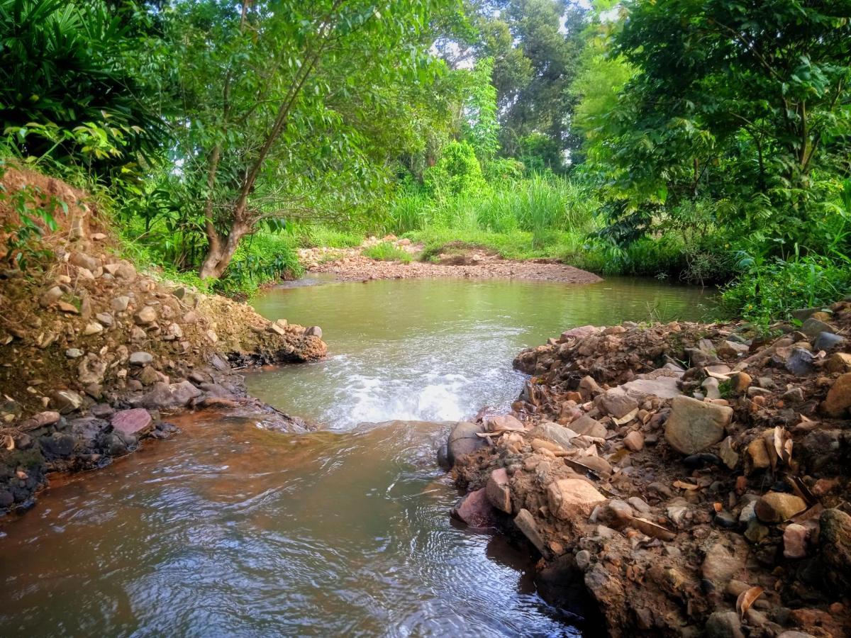 Awanaz Farmstay With Pool And Farm Animal Jitra Kedah Luaran gambar